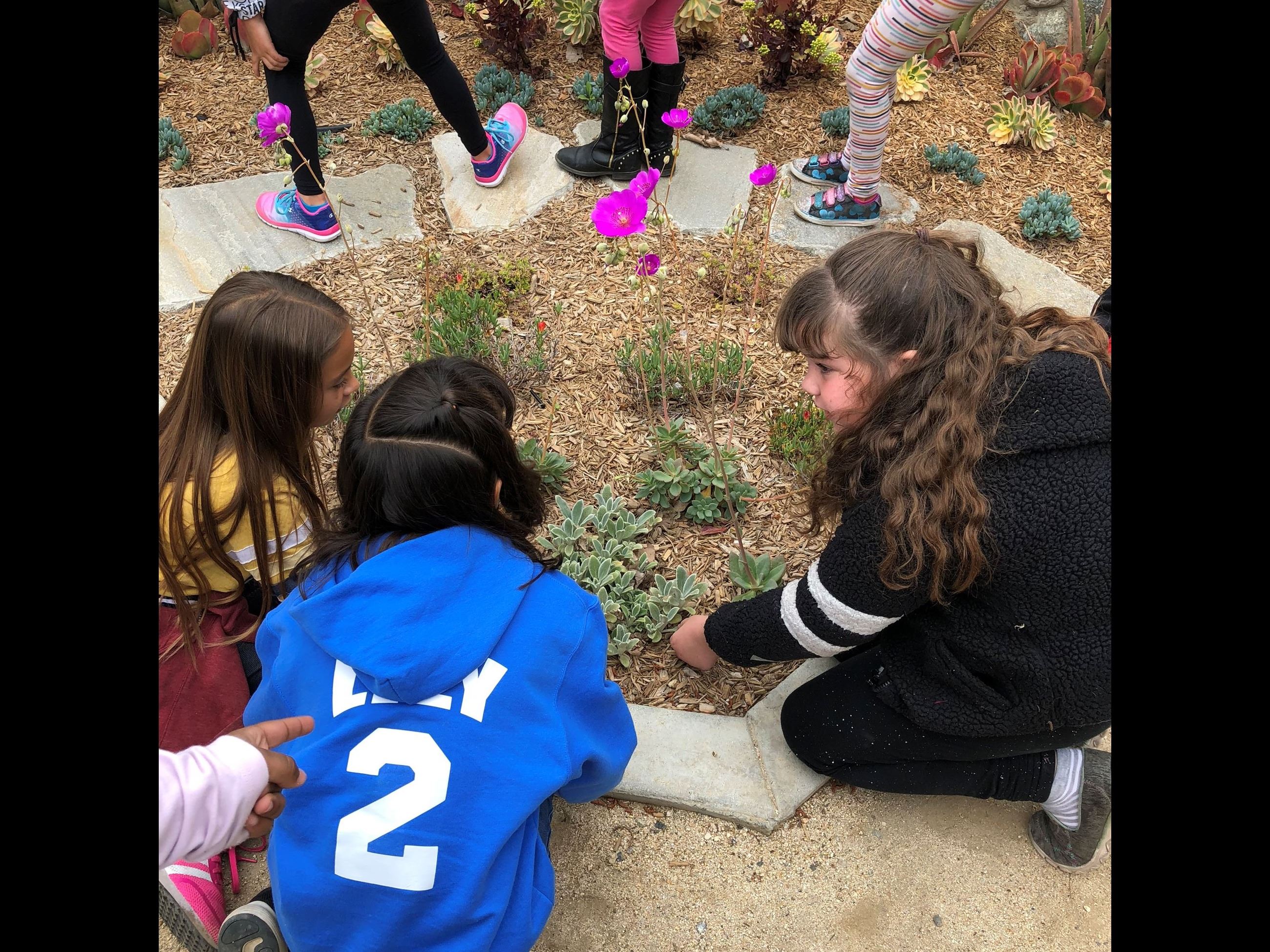 Children looking at plants in succulent garden